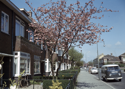 808781 Gezicht in de Händelstraat te Utrecht, met een bloeiende boom en links de huizen Händelstraat 50 -hoger.